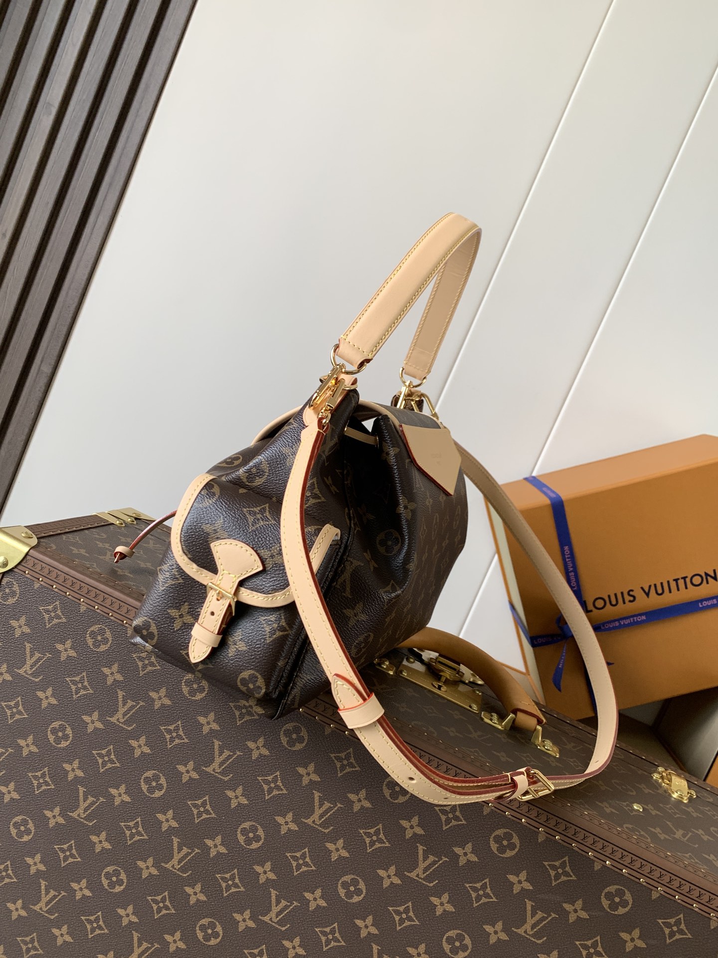 Louis Vuitton bag-34