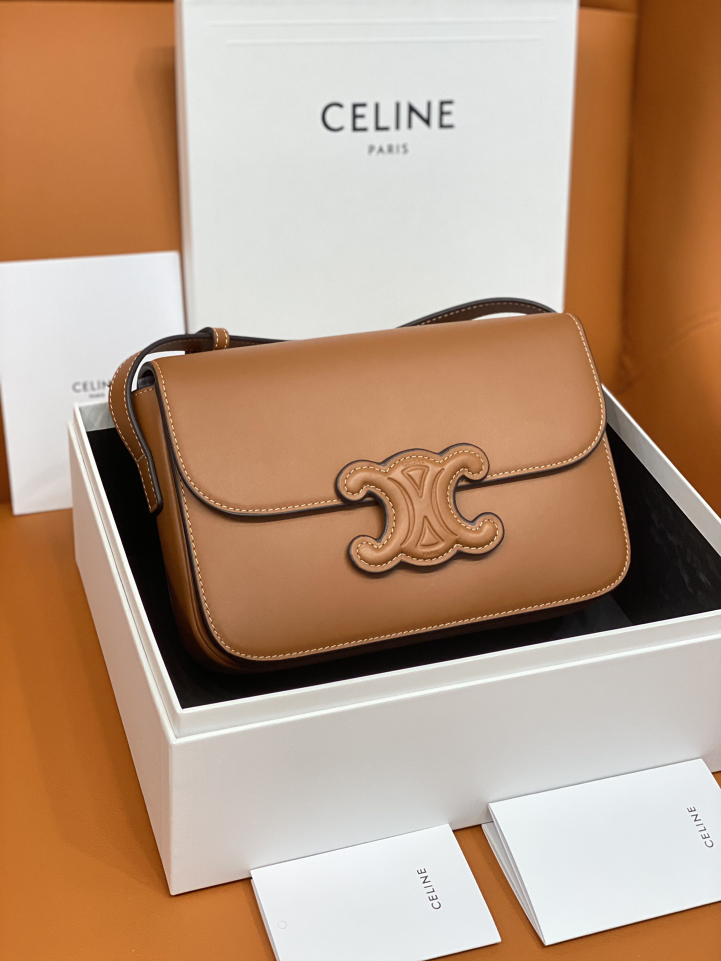 Celine bag-110