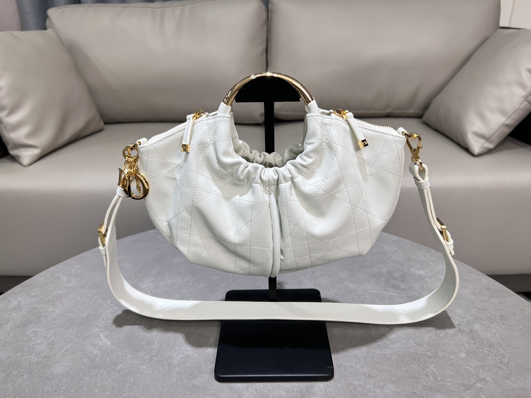 Dior bag-39