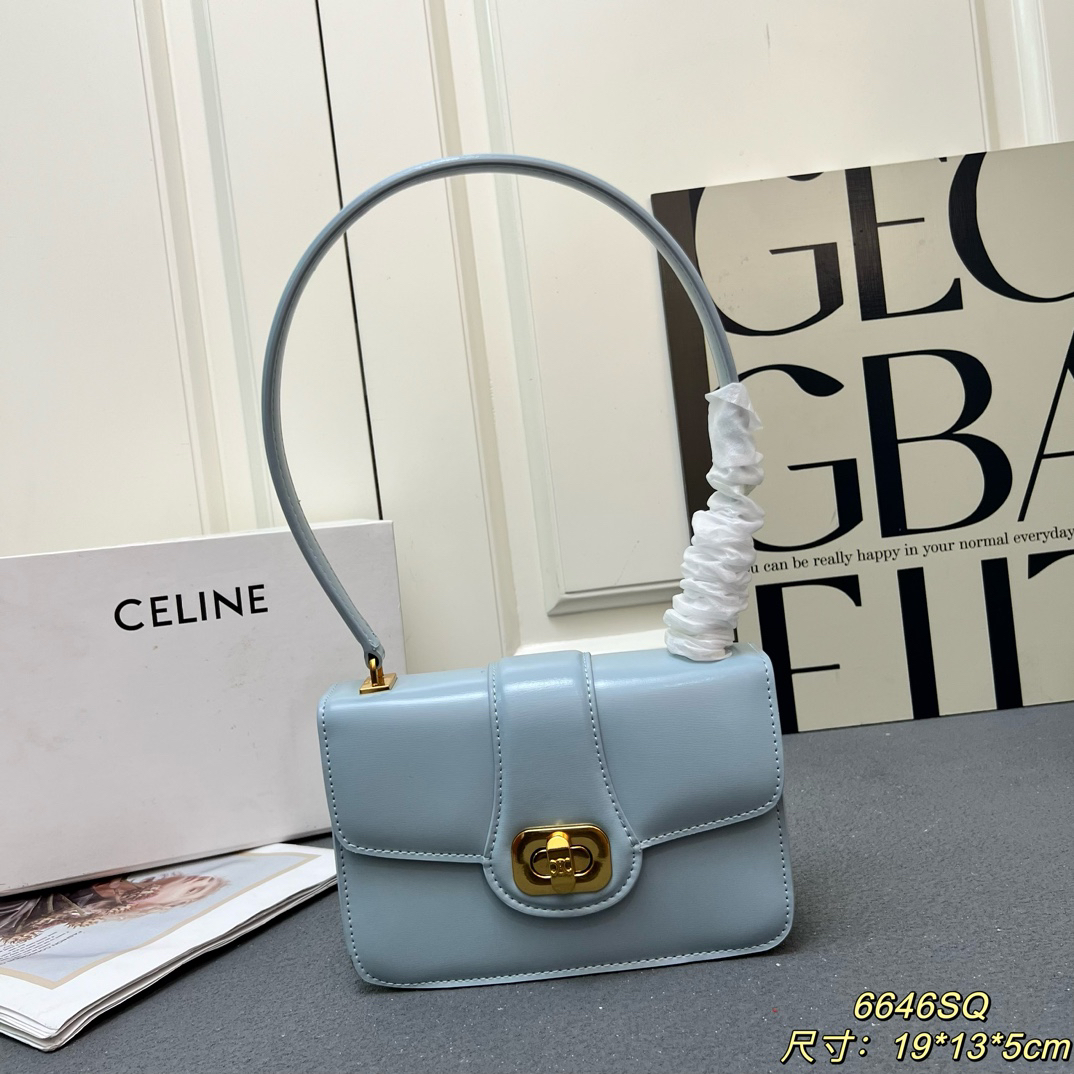 Celine bag-131