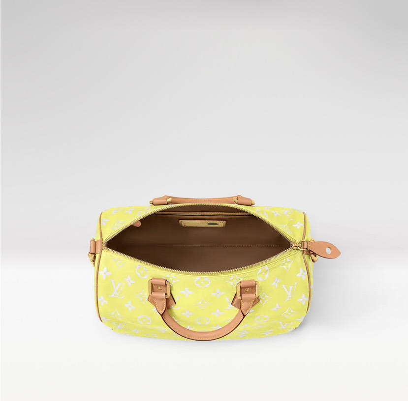 Louis Vuitton bag-6