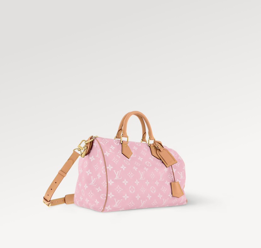 Louis Vuitton bag-9