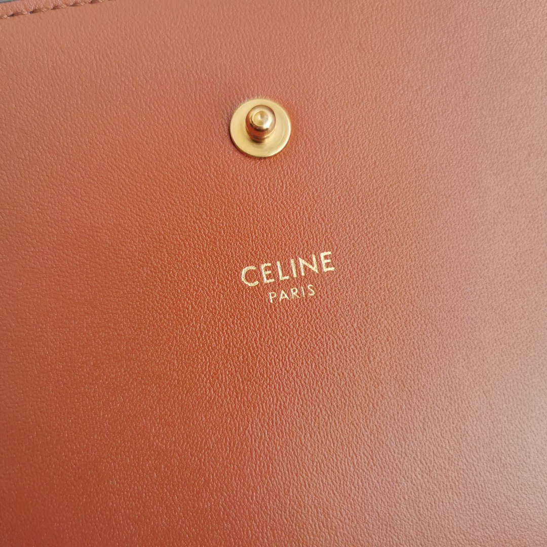 Celine bag-121