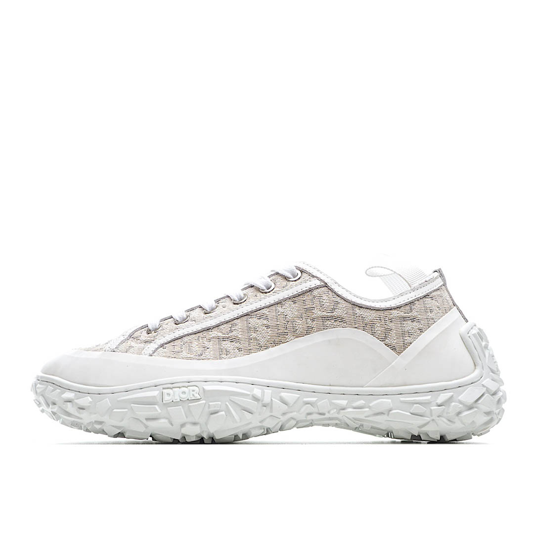 Dior B28 Oblique High Top Sneakers