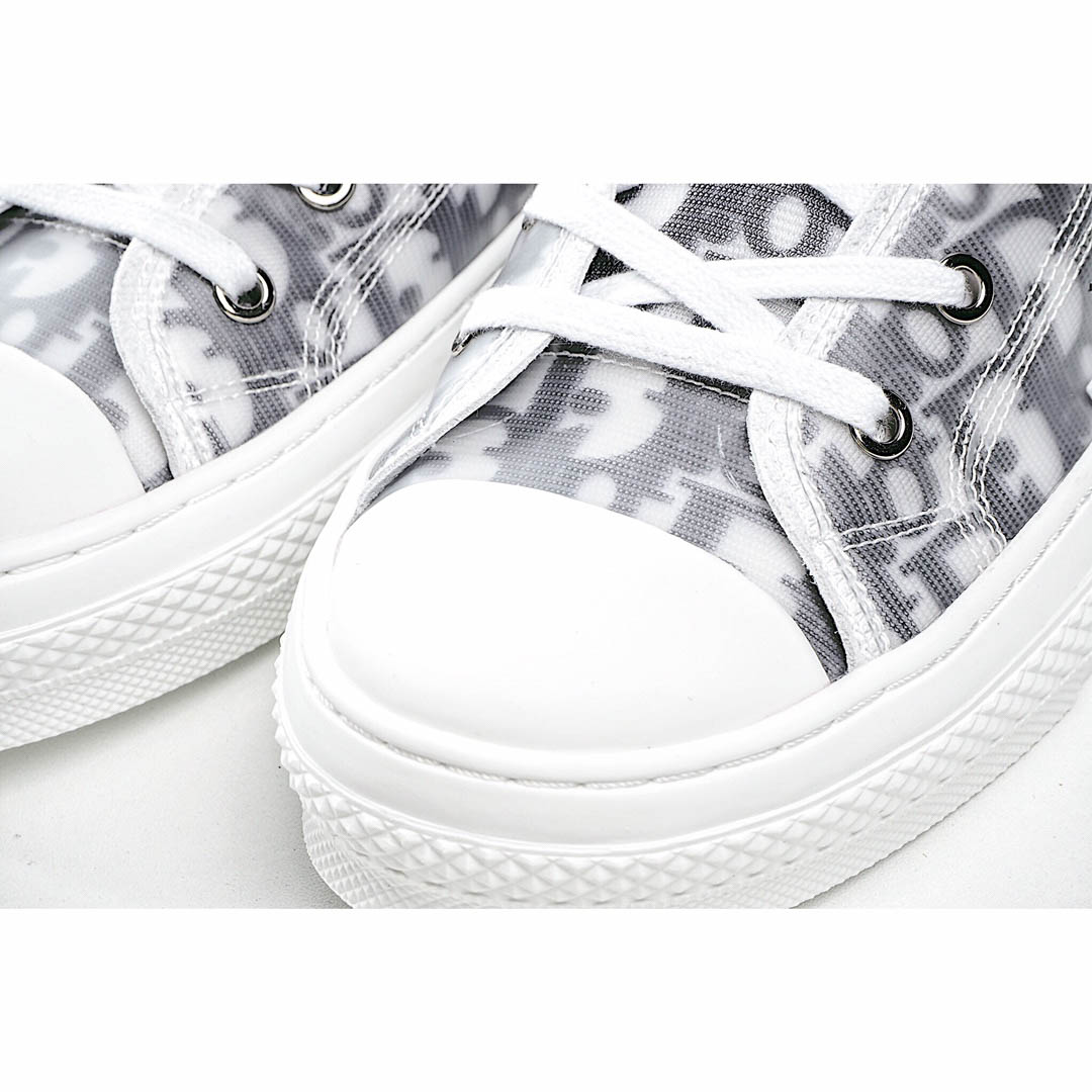 Dior B23 Oblique Slip-on Low Top Sneakers Sheer Print Sneakers