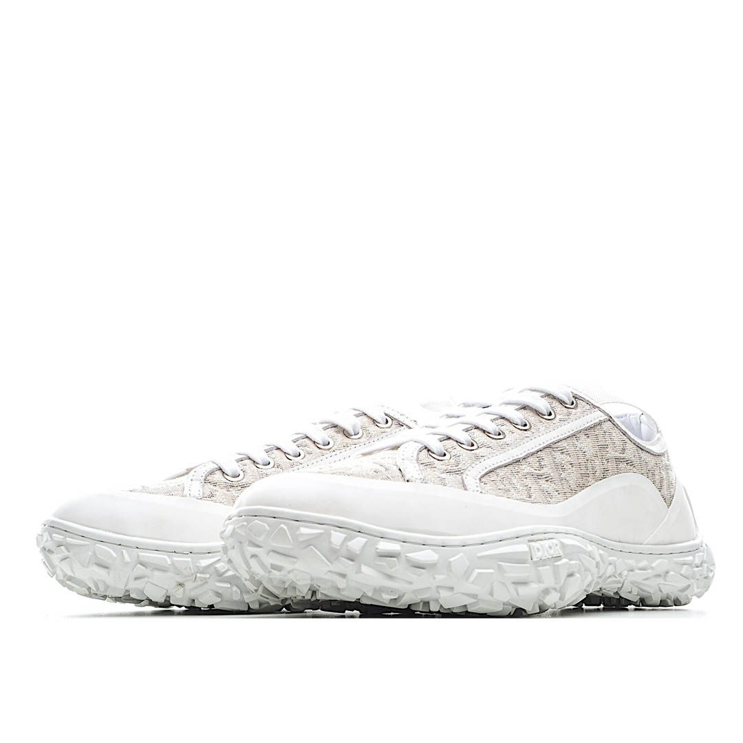 Dior B28 Oblique High Top Sneakers