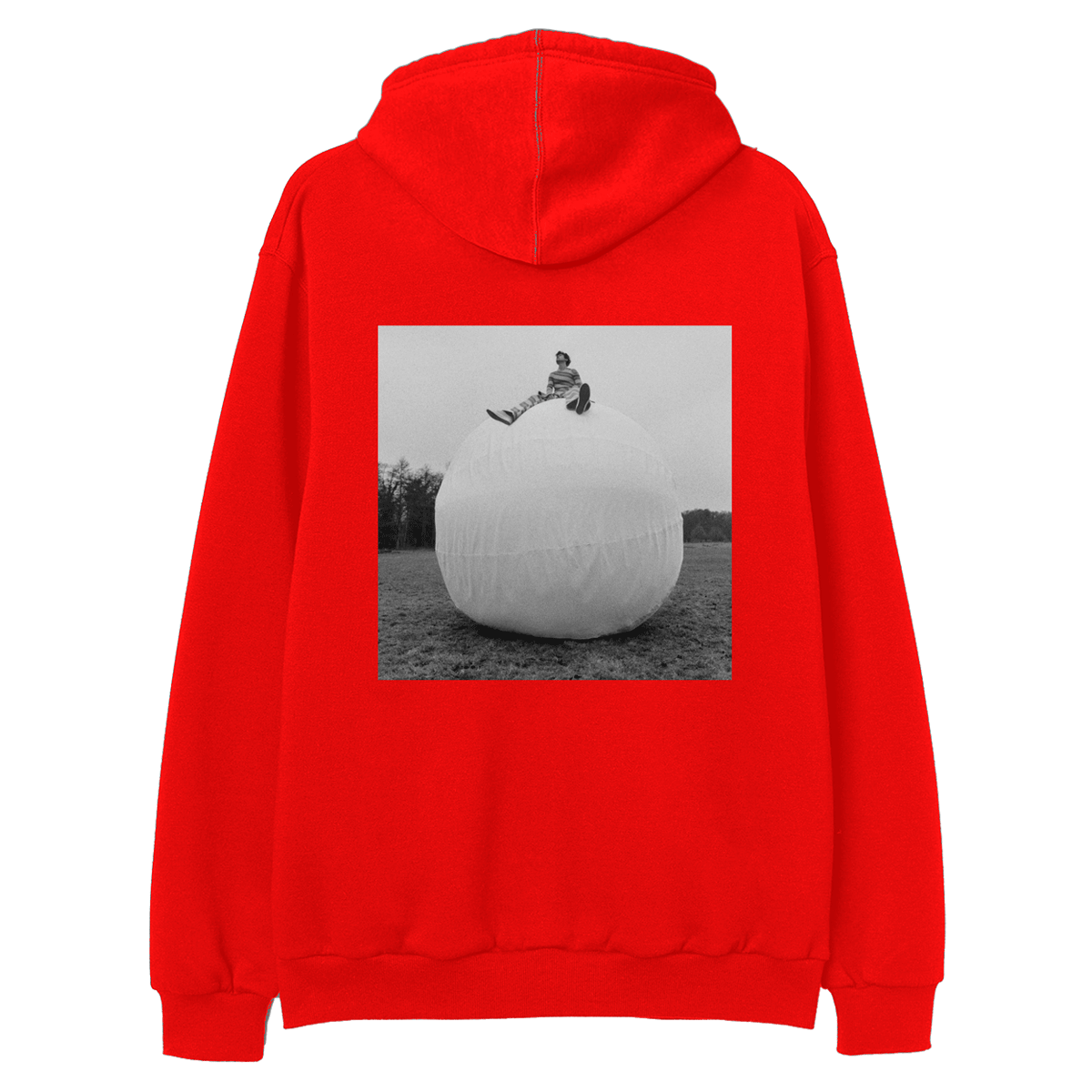 Harry Styles On Top Of The World Hoodie