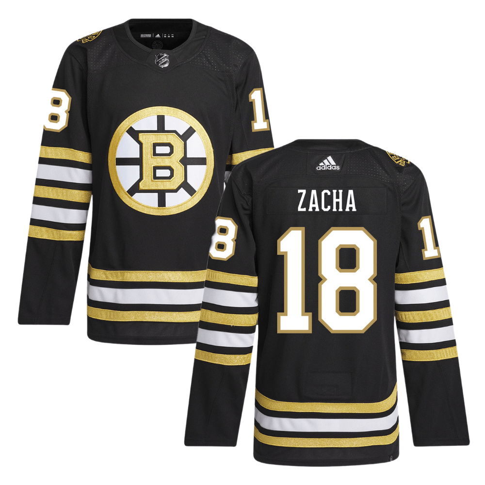 Pavel Zacha 18 Boston Bruins 100th Anniversary Primegreen Home Black NHL Jersey Men's