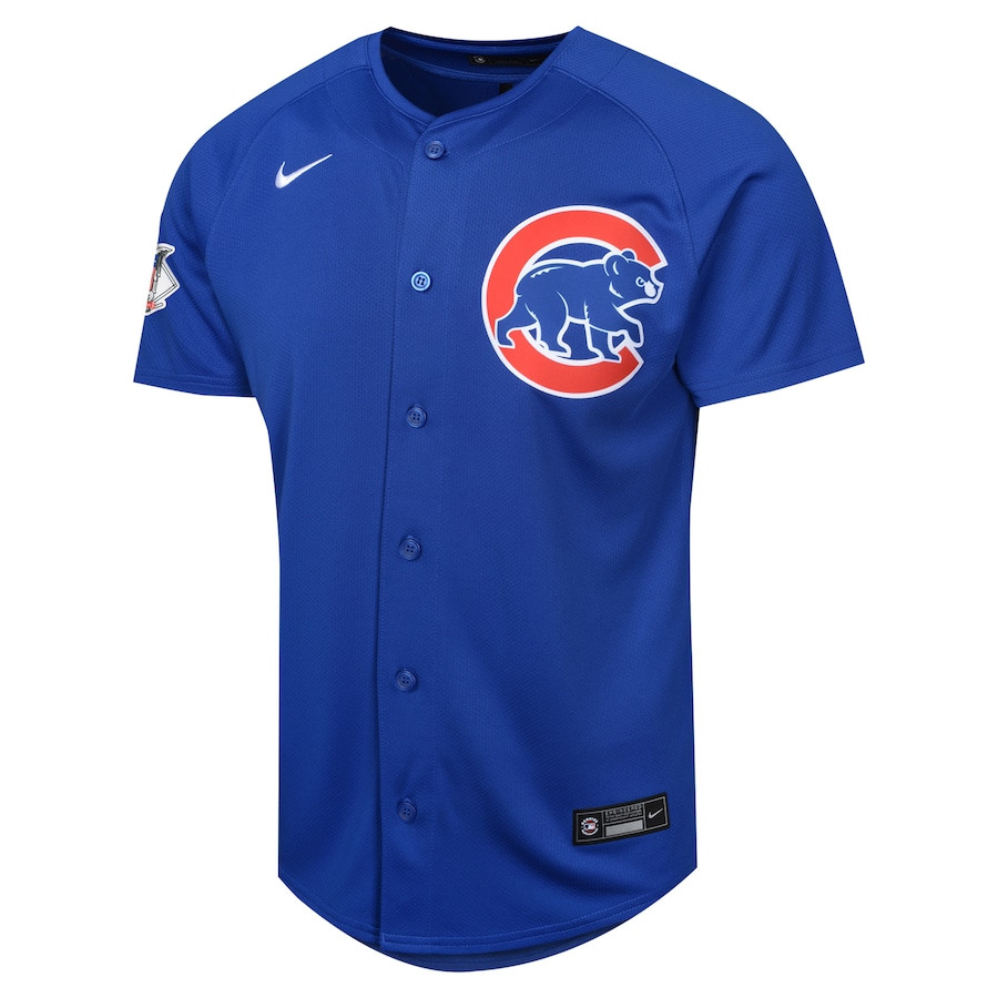 Dansby Swanson 7 Chicago Cubs Alternate Limited Royal MLB Jersey Youth