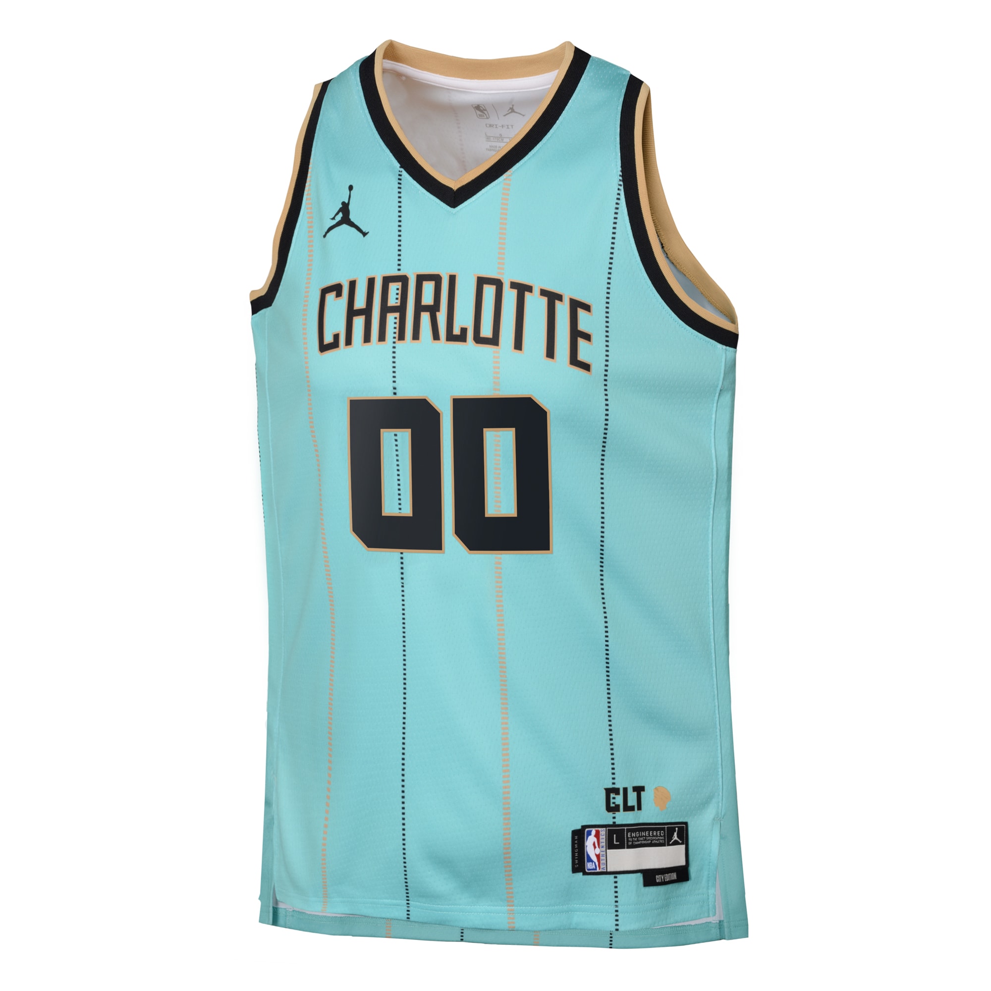 Charlotte Hornets Jordan City Edition Swingman 2024 Custom NBA Jersey Youth