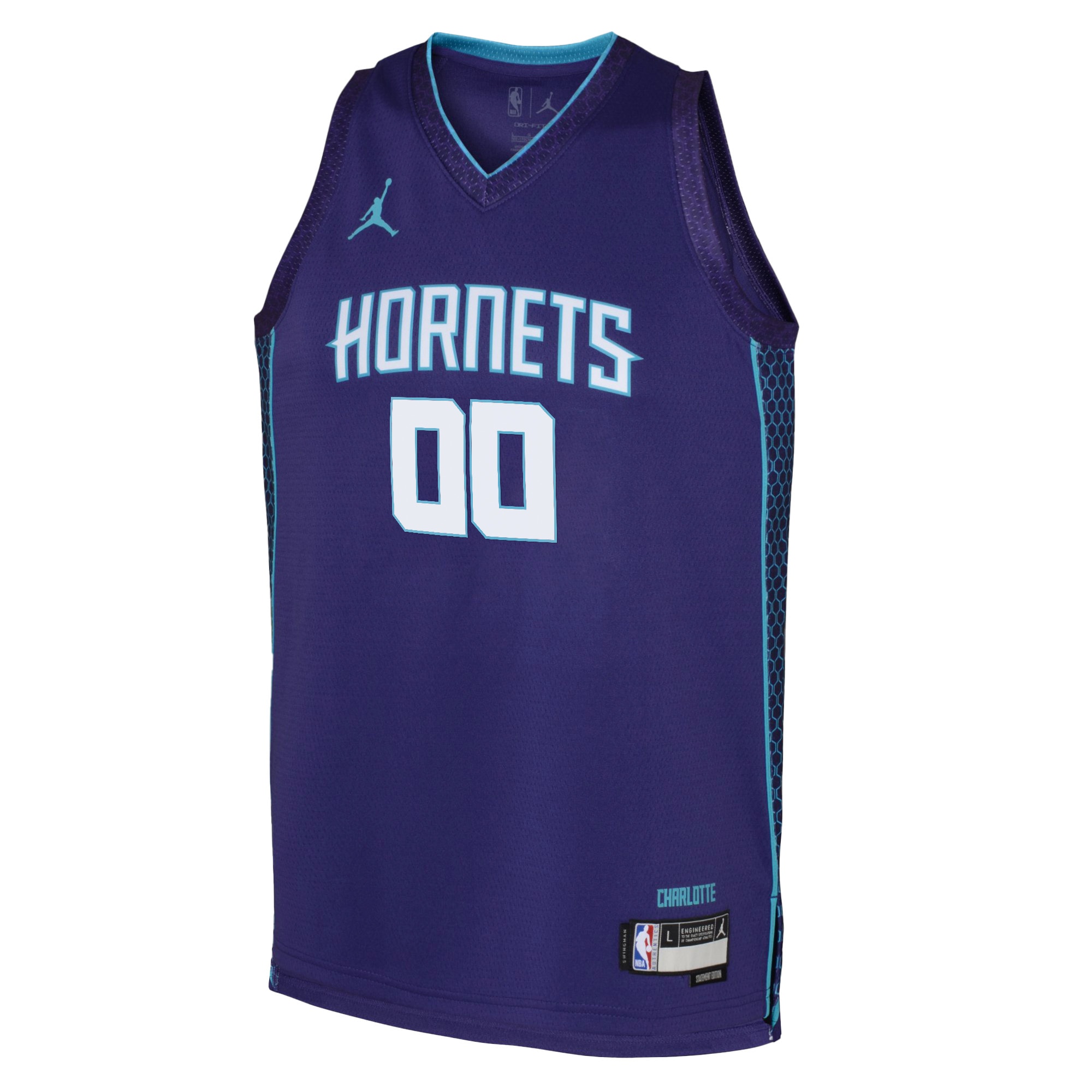 Charlotte Hornets Jordan Statement Edition Swingman Custom NBA Jersey Youth