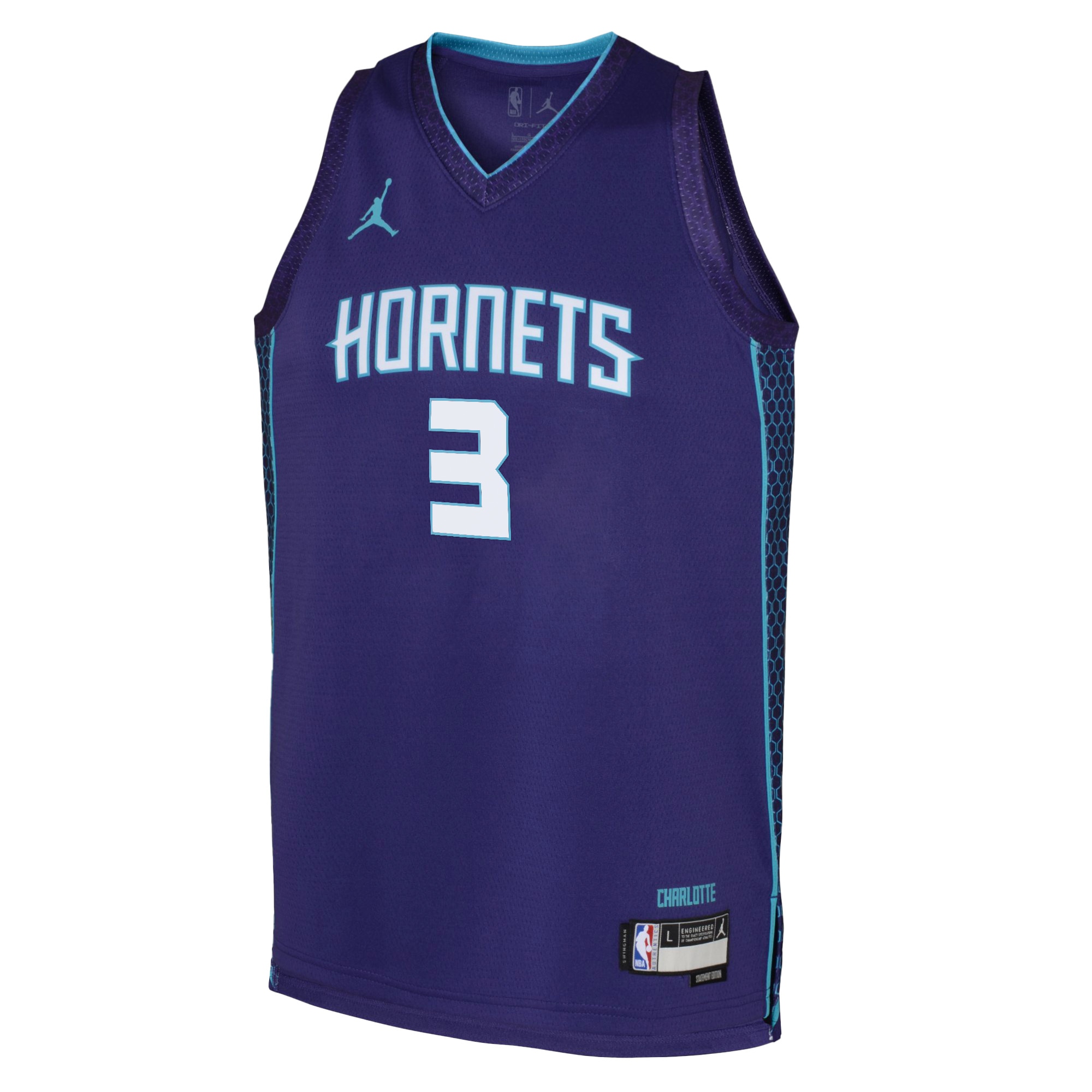 Charlotte Hornets Jordan Brand Statement Edition Swingman Purple Terry Rozier II NBA Jersey Youth