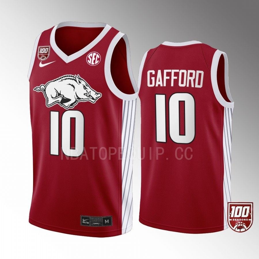 Daniel Gafford 10 Arkansas Razorbacks Red 100 Season College NCAA Jersey Men's