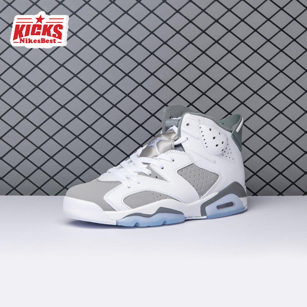 Air Jordan 6 Cool Grey CT8529-100 Men's