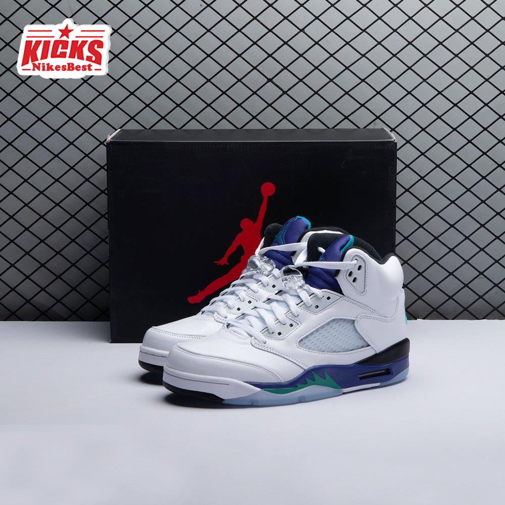 Air Jordan 5 Retro Grape (2025) HQ7978-100 Men's