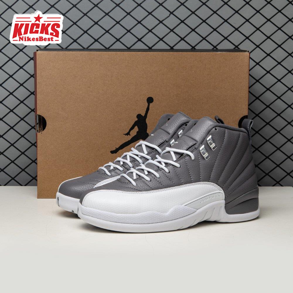 Air Jordan 12 Stealth CT8013-015 Men's