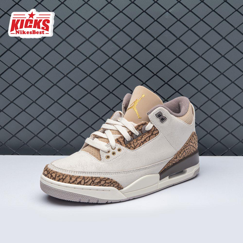 Air Jordan 3 Retro Palomino CT8532-102 Men's