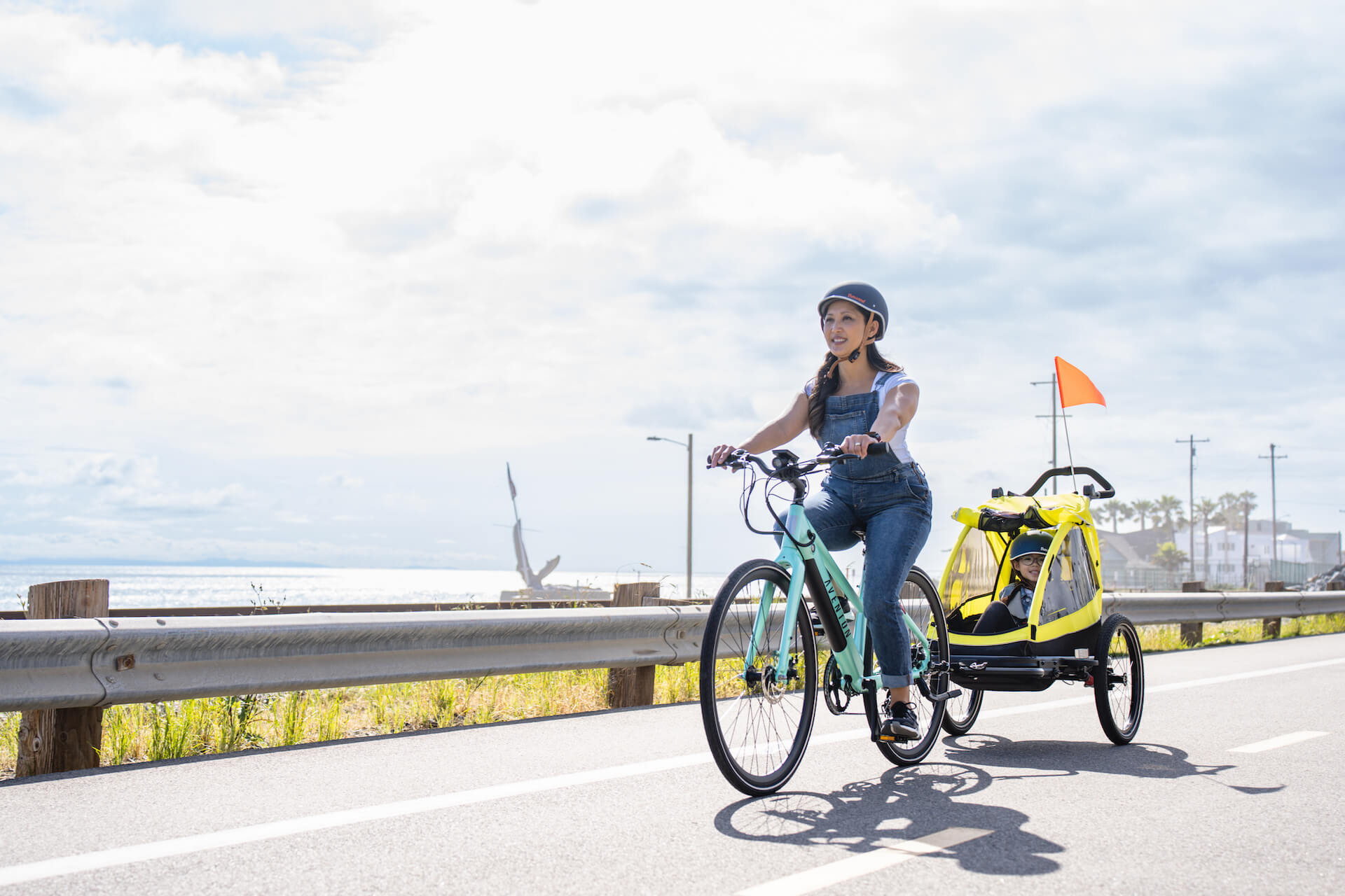 Aventon Single Child Trailer