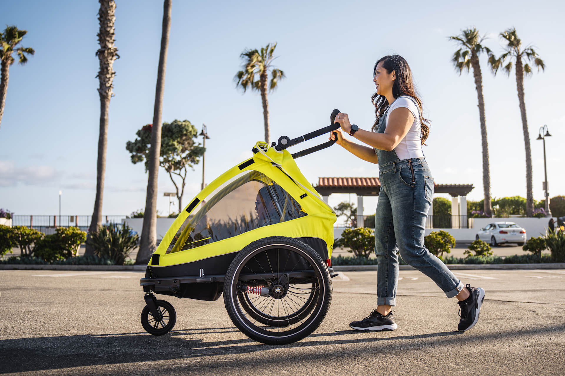 Aventon Single Child Trailer