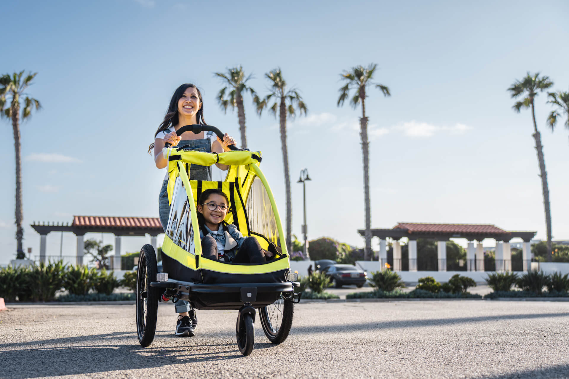 Aventon Single Child Trailer
