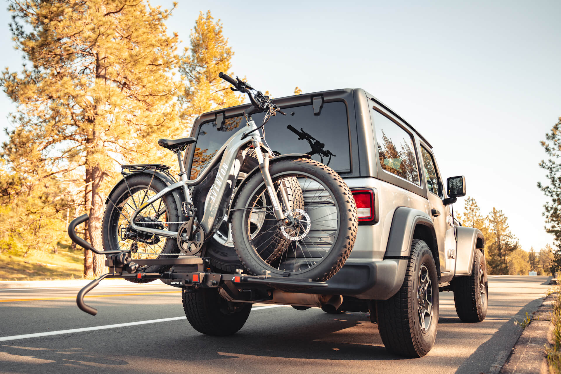 Aventon Hitch Rack