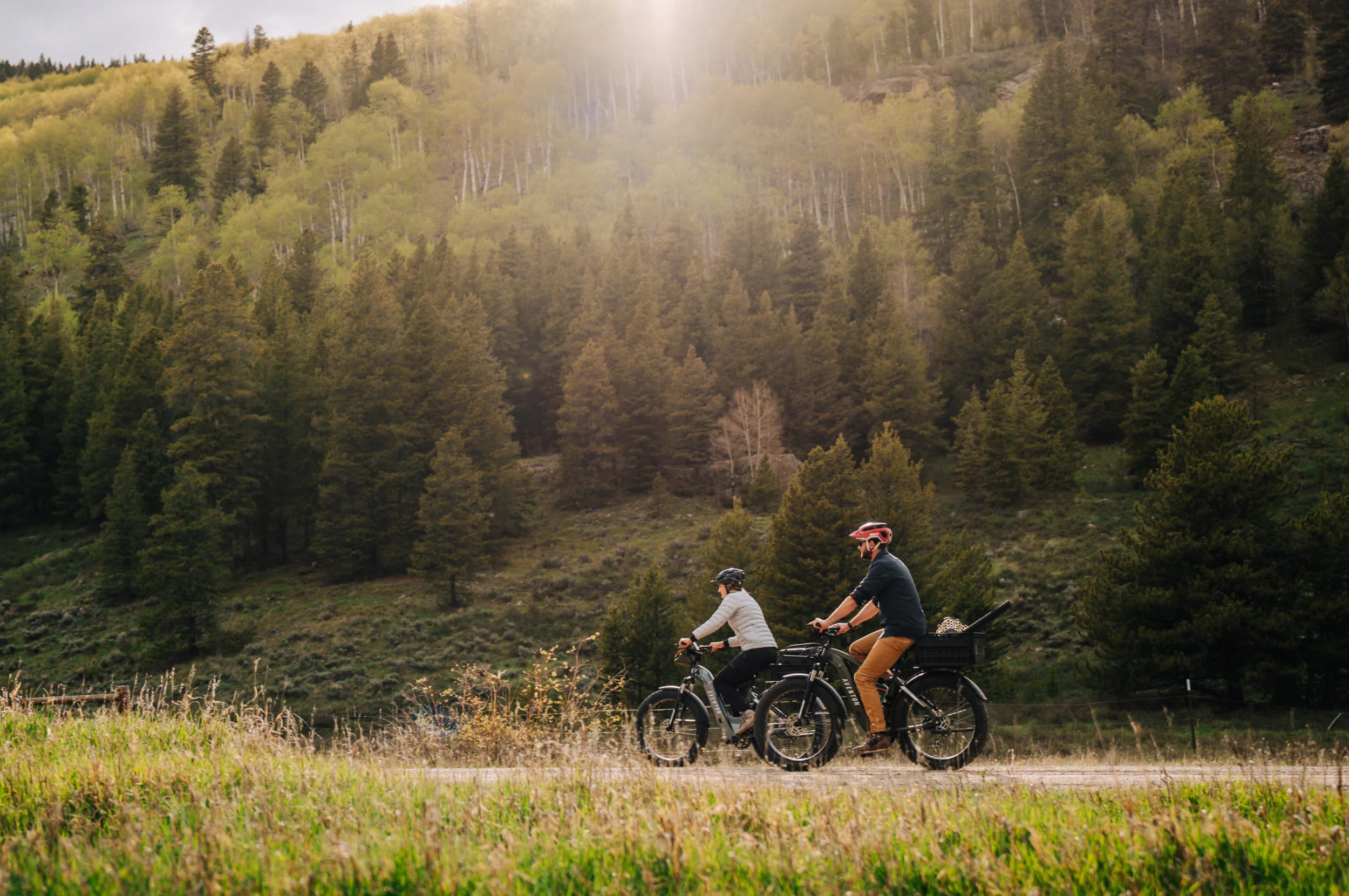 Aventure.2 Step-Through Ebike