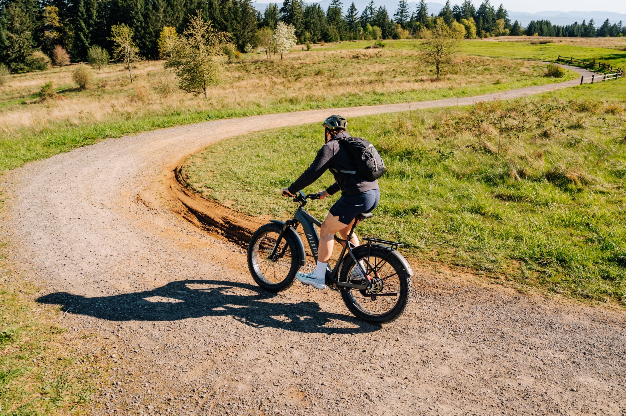 Aventure 3 Ebike-Step Over