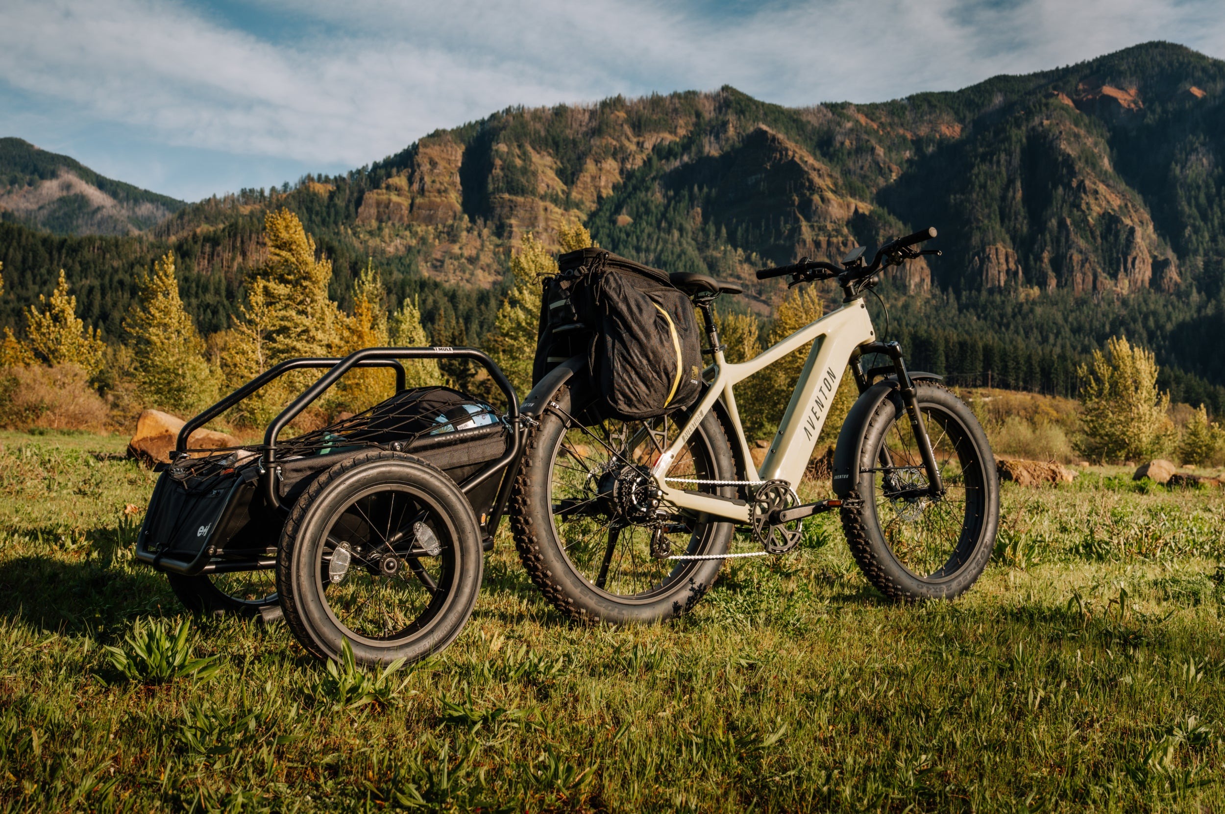 Aventure 3 Ebike-Step Over