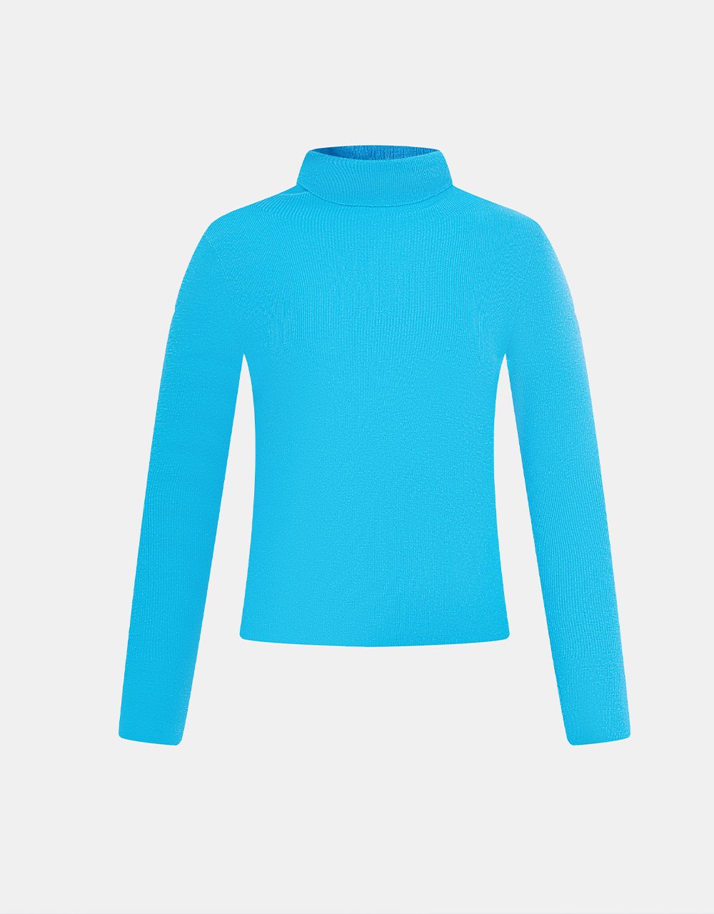 Minimalistic Turtle Neck Fitted Knit Top