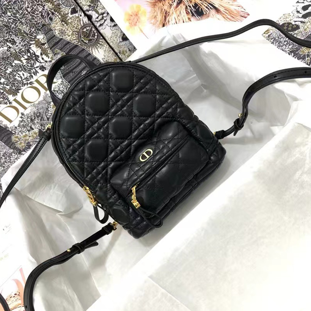 DIOR shoulder bag（Perfect Replica) - Ultra-Collectible