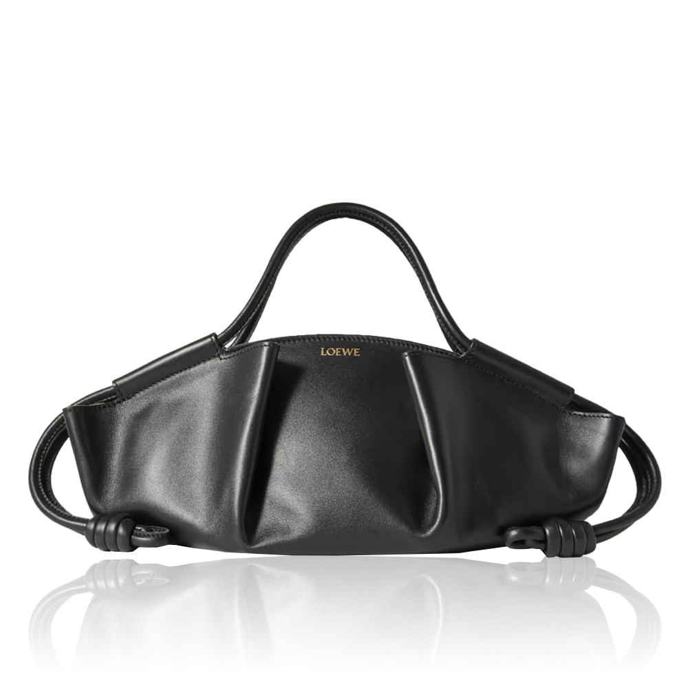 Loewe Shiny Nappa Calfskin Paseo Bag  (Replica) - Ultra-Collectible