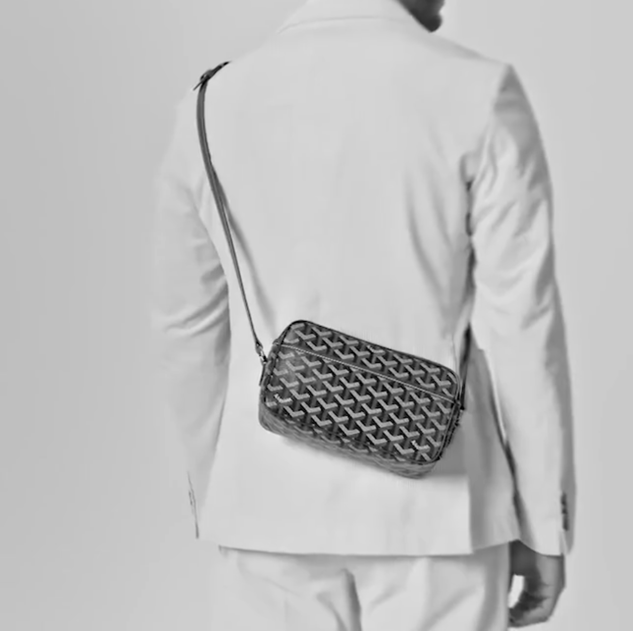 Goyard Cap-Vert PM Bag(Replica) - Ultra-Collectible