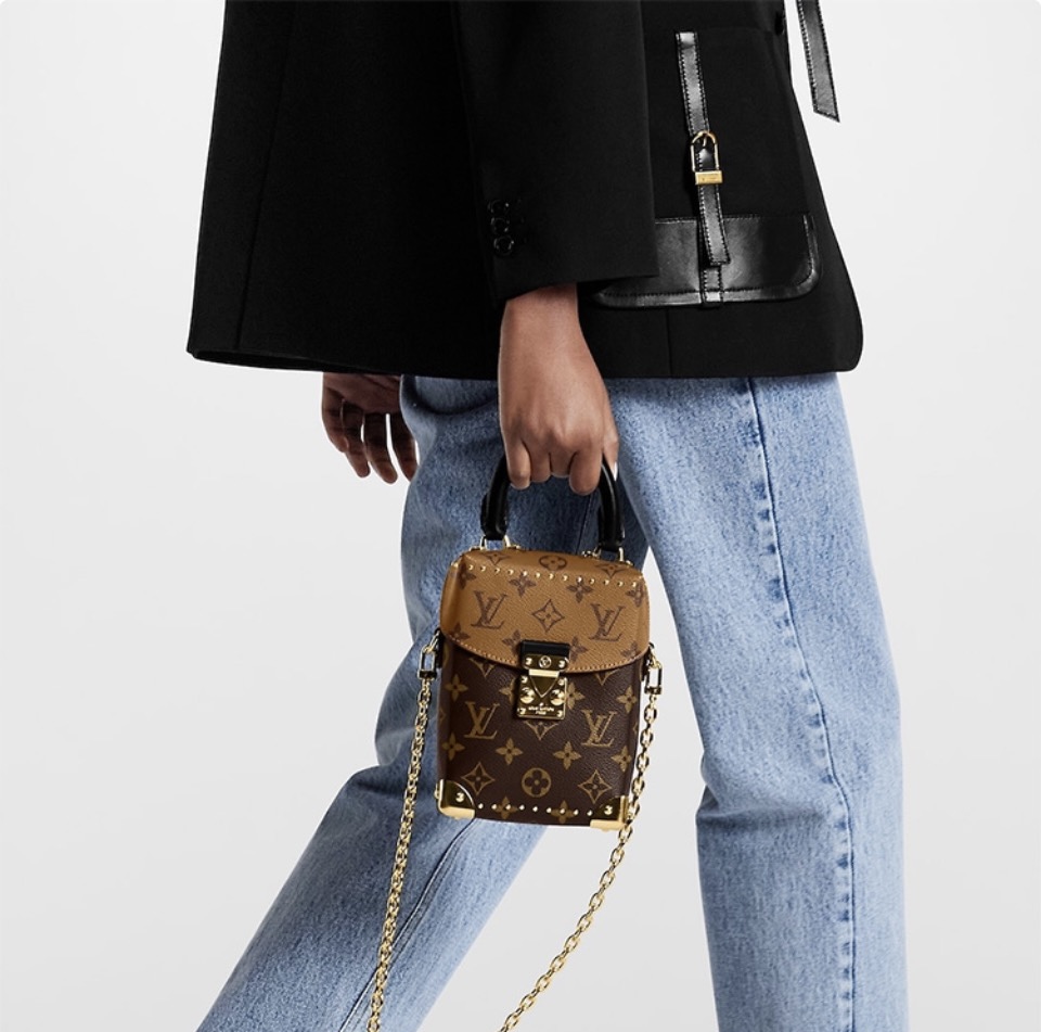 Louis Vuitton LV Camera Bag(Replica) - Ultra-Collectible