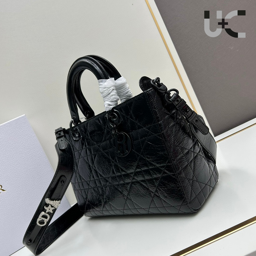 Dior Lady D-Sire bags  (Replica) - Ultra-Collectible