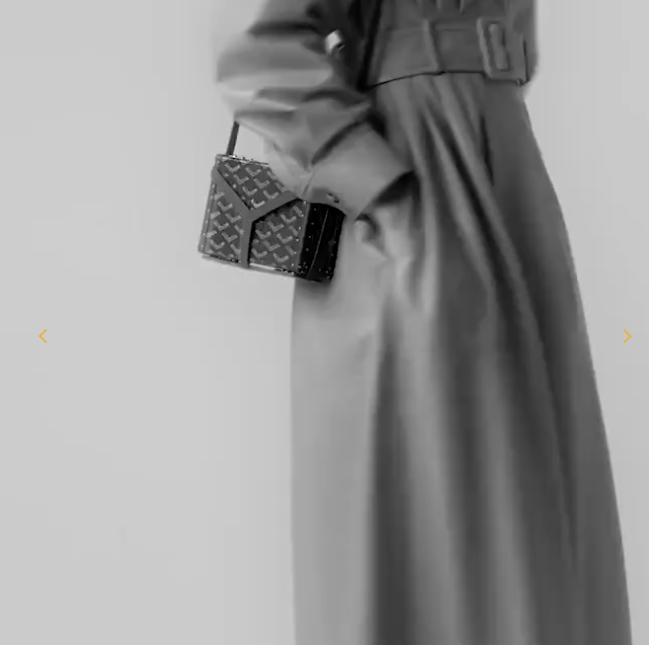 Goyard Minaudière Trunk Bag(Replica) - Ultra-Collectible