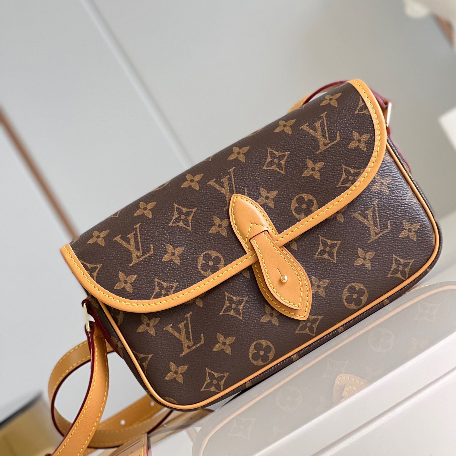 Louis Vuitton Gibeciere PM Shoulder Bag M42248 - Ultra-Collectible
