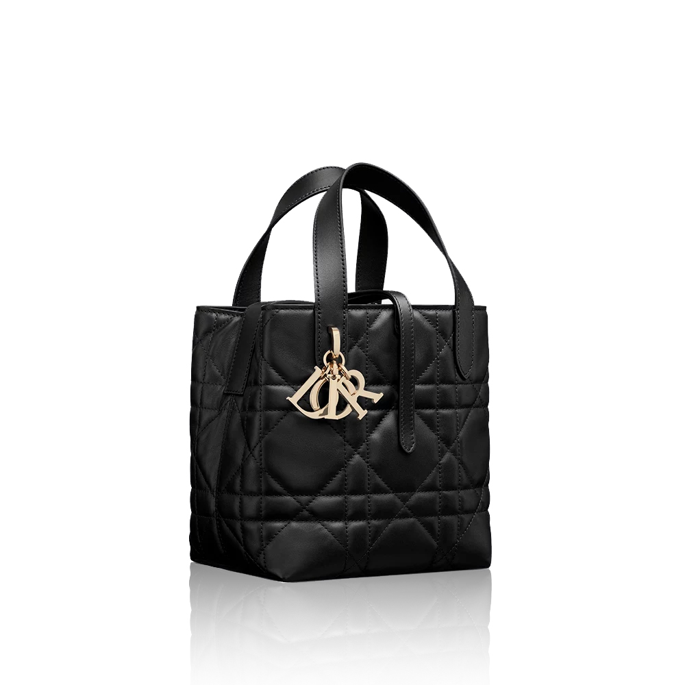 Dior Small Dior Toujours Vertical Tote (Replica) - Ultra-Collectible