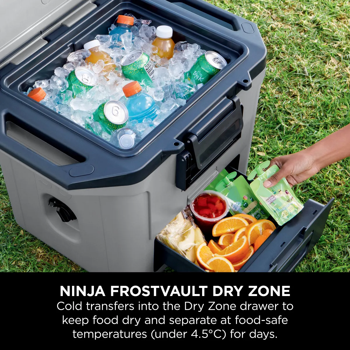 Ninja FrostVault 30QT/28L Hard Cooler - Slate Grey FB131UKGY