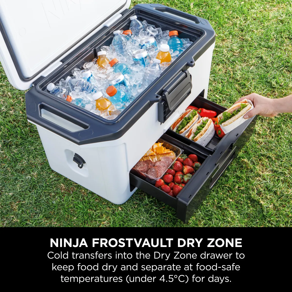 Ninja FrostVault 50QT/47L Hard Cooler - Cloud White FB151UKWH