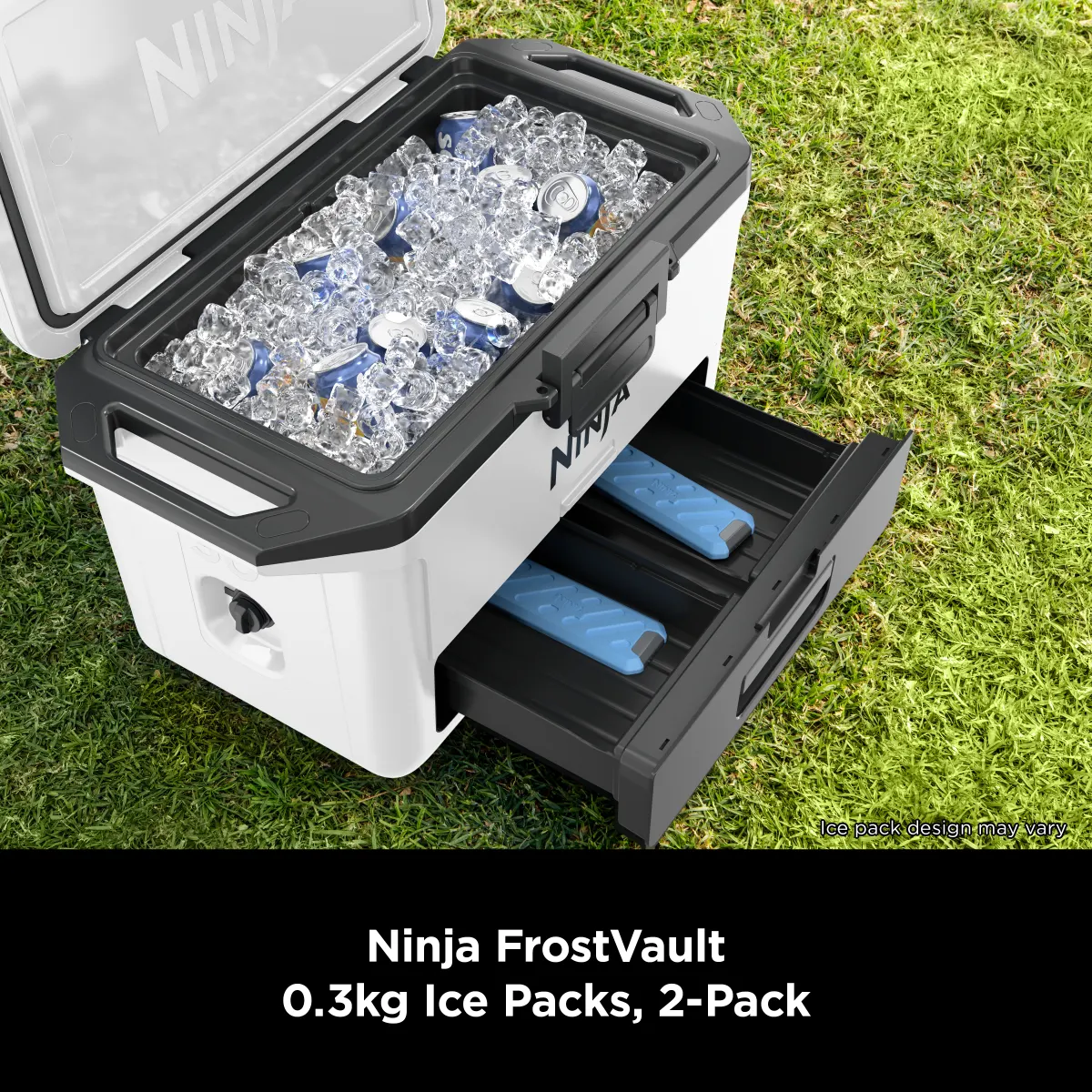 Ninja FrostVault Small Ice Pack