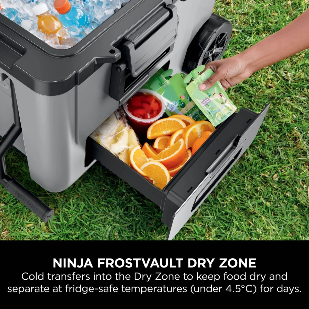 Ninja FrostVault 45QT/42L Wheeled Cooler with Dry Zone, Slate Grey FB245UKGY