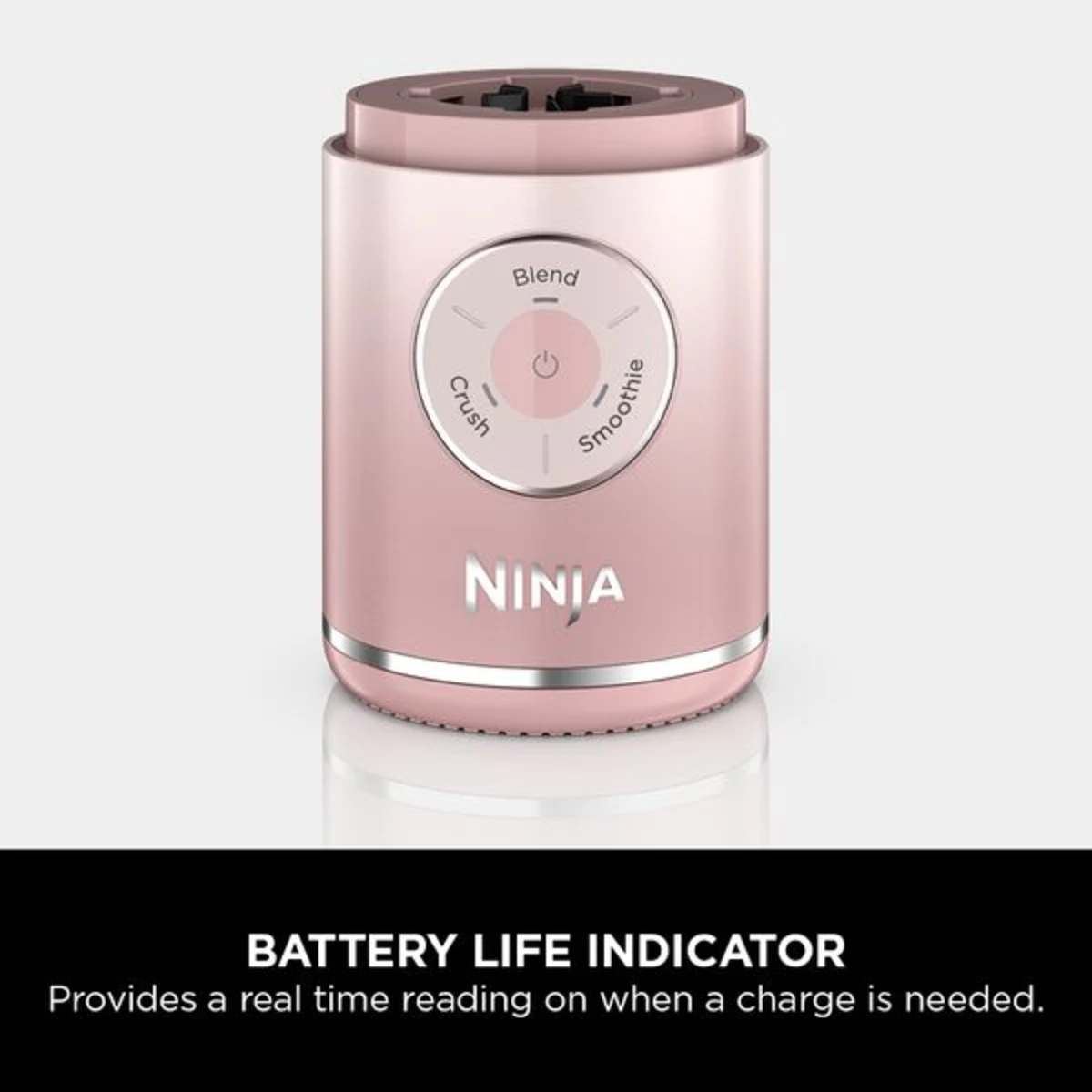 Ninja Blast Max Portable Blender - Dusty Pink BC251UKPK