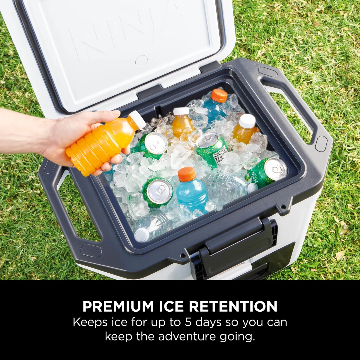 Ninja FrostVault 30QT/28L Cooler, Ice Pack & Thirsti Bottle Bundle