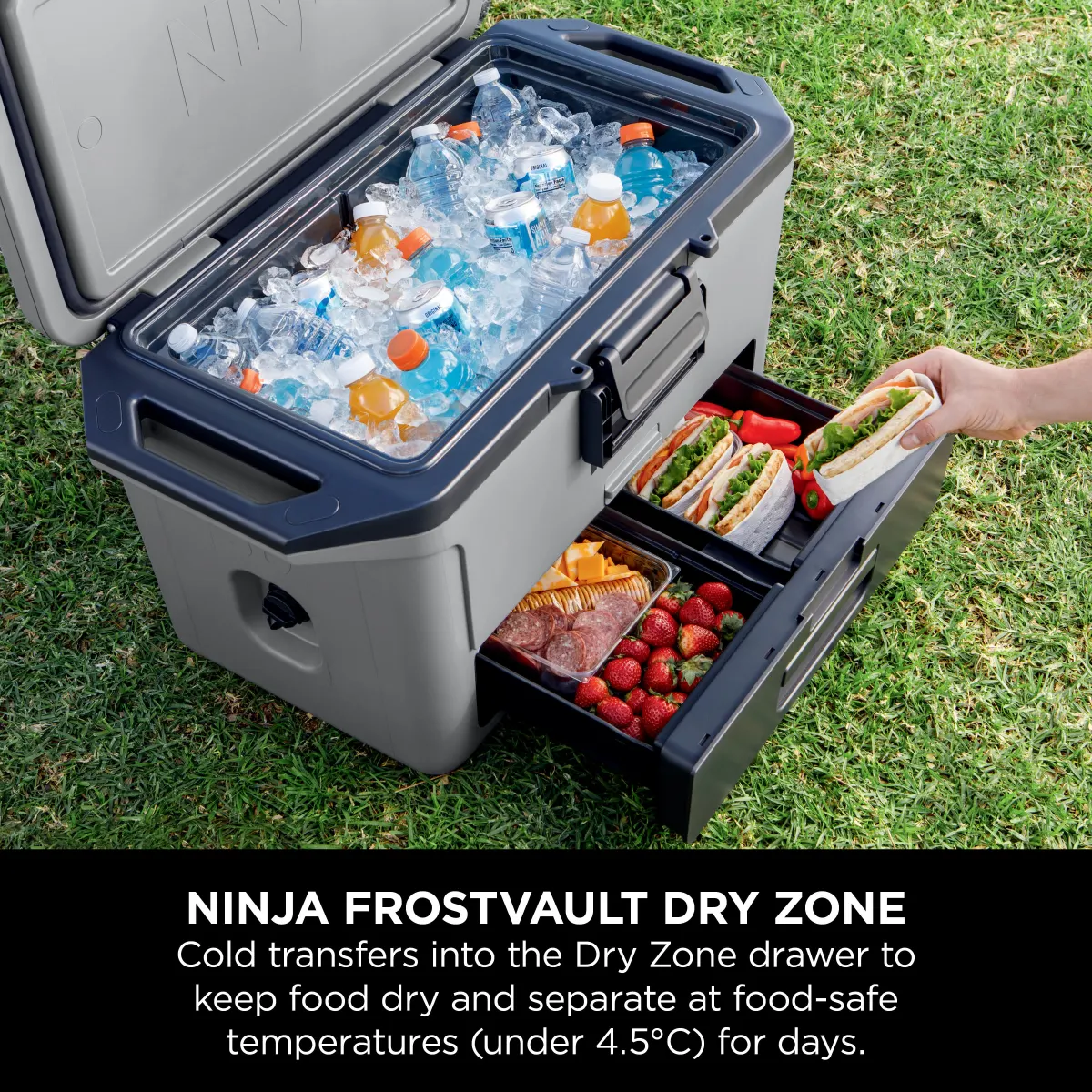 Ninja WoodFire XL Electric BBQ & FrostVault 47L Cooler Bundle