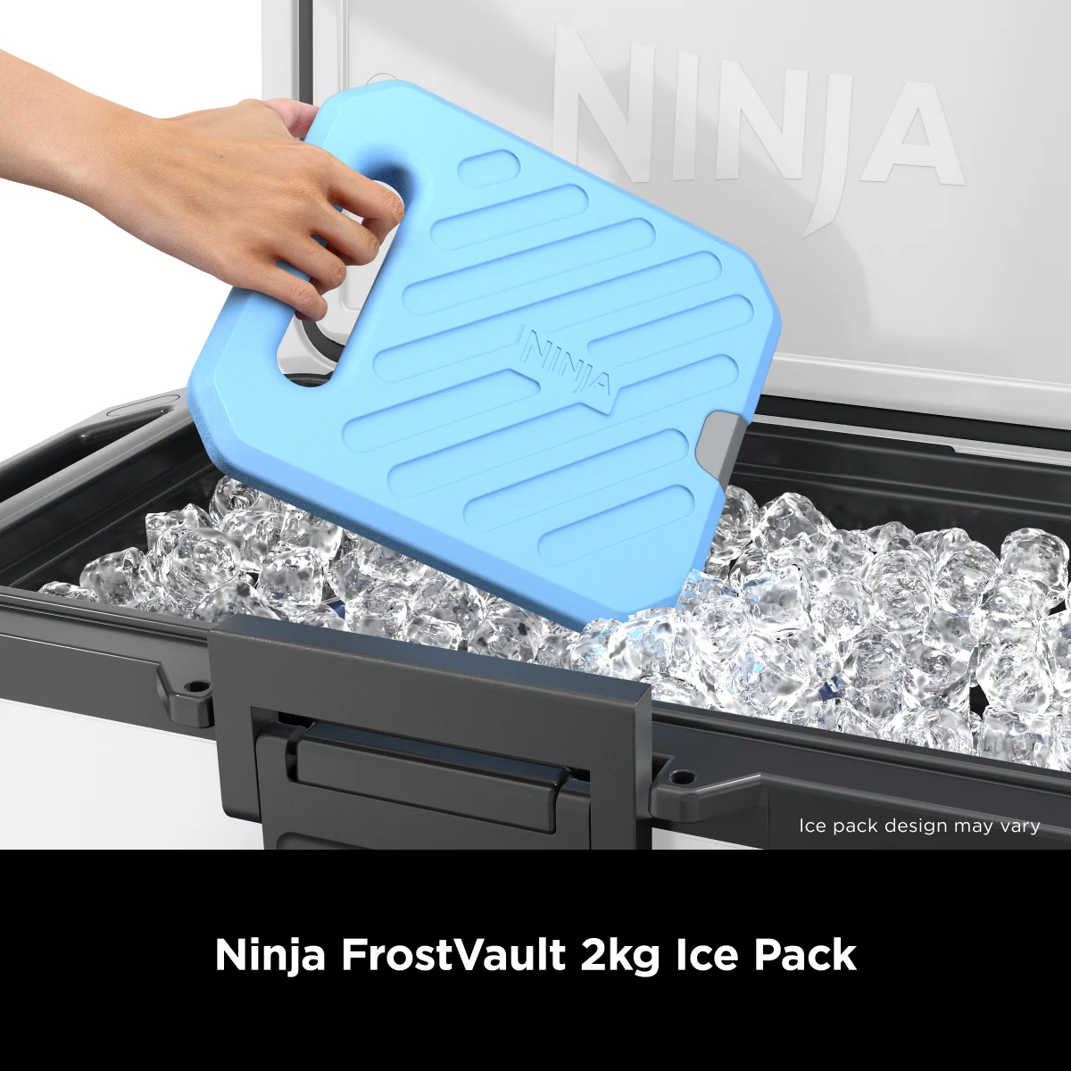 Ninja FrostVault Large Ice Pack