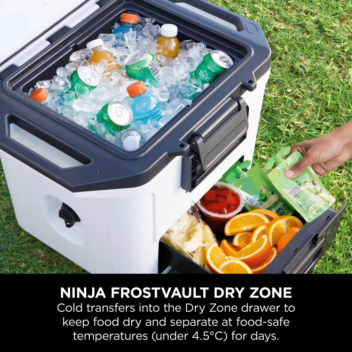 Ninja FrostVault 30QT/28L Hard Cooler - Cloud White FB131UKWH