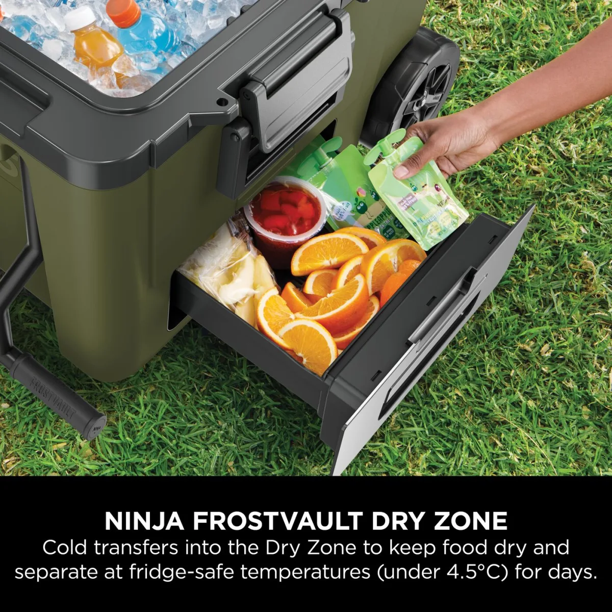 Ninja FrostVault 45QT/42L Wheeled Cooler with Dry Zone – Olive FB245EUUKDBGN