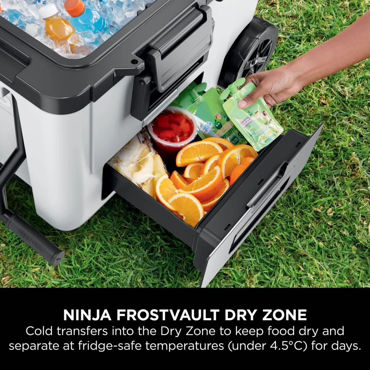 Ninja FrostVault 45QT/42L Wheeled Cooler with Dry Zone, Cloud White FB245UKWH