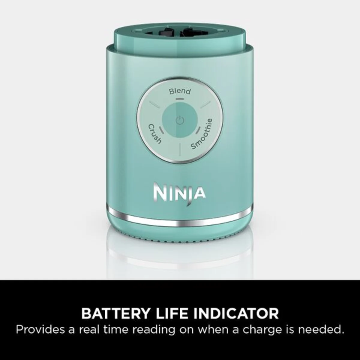 Ninja Blast Max Portable Blender - Seaglass BC251UKMT