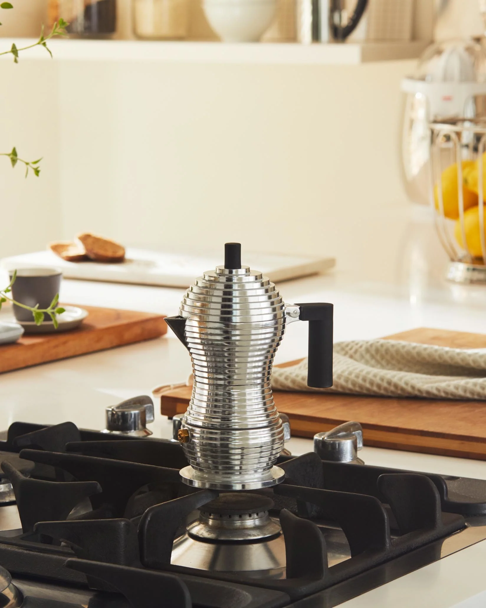Pulcina